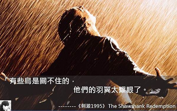 《刺激1995》 The Shawshank Redemption