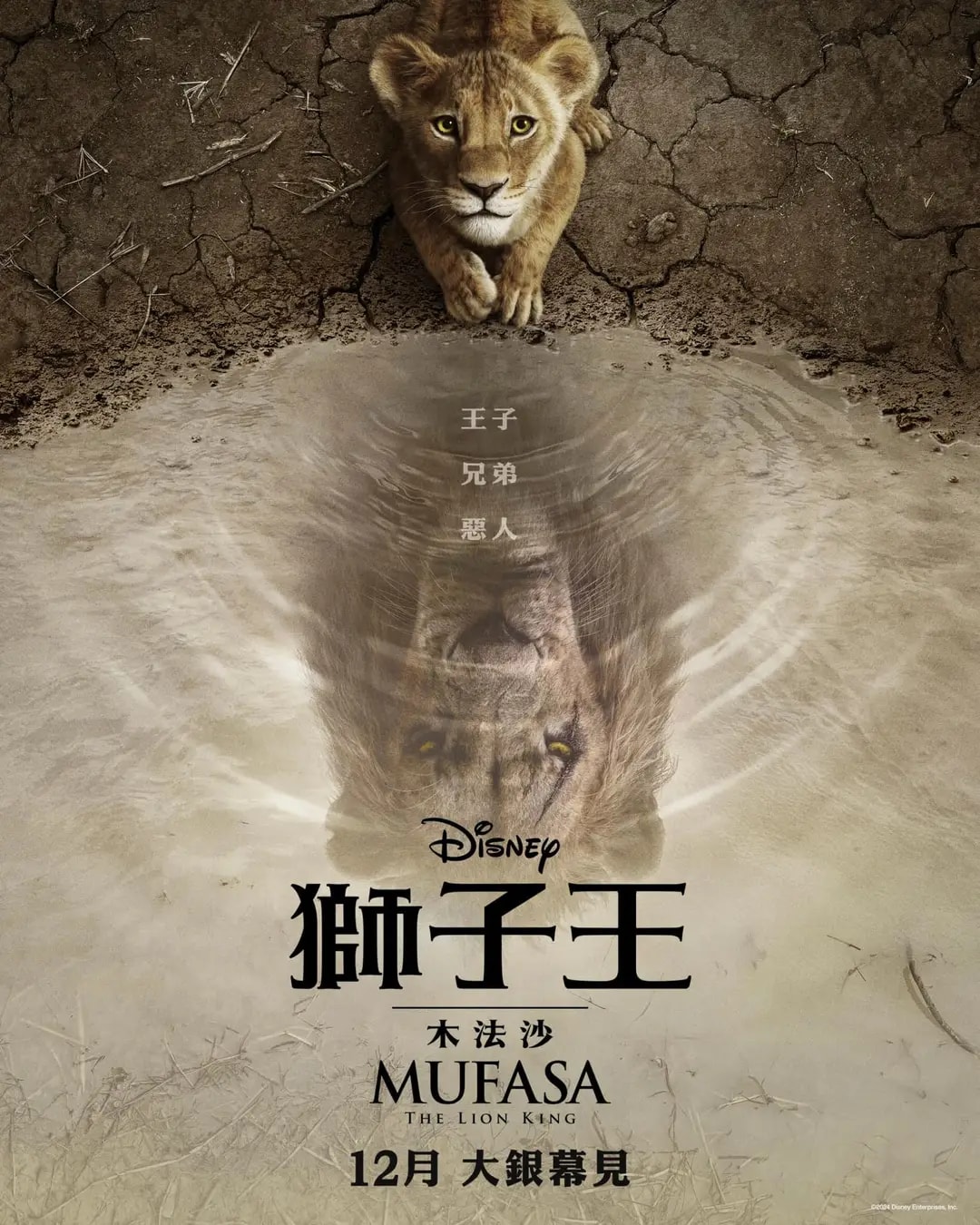 2024年12月台灣上映電影推薦清單 - 第5張圖 2024年12月台灣上映電影推薦清單