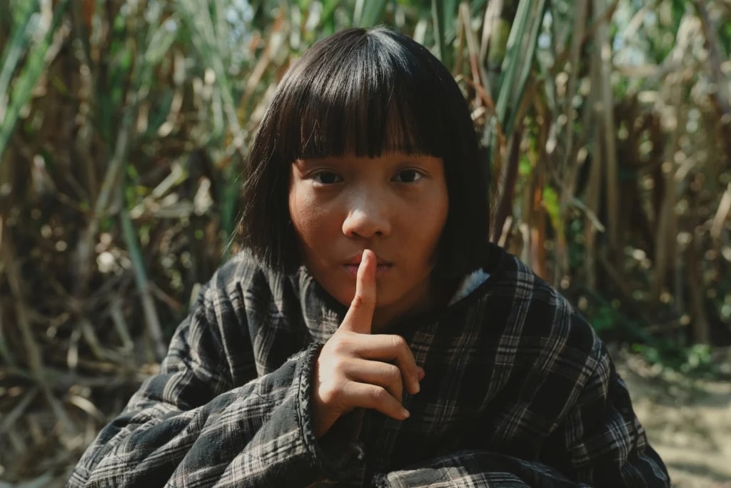 《大濛》影評-慶幸白色恐怖時期執政的不是現在的民進黨