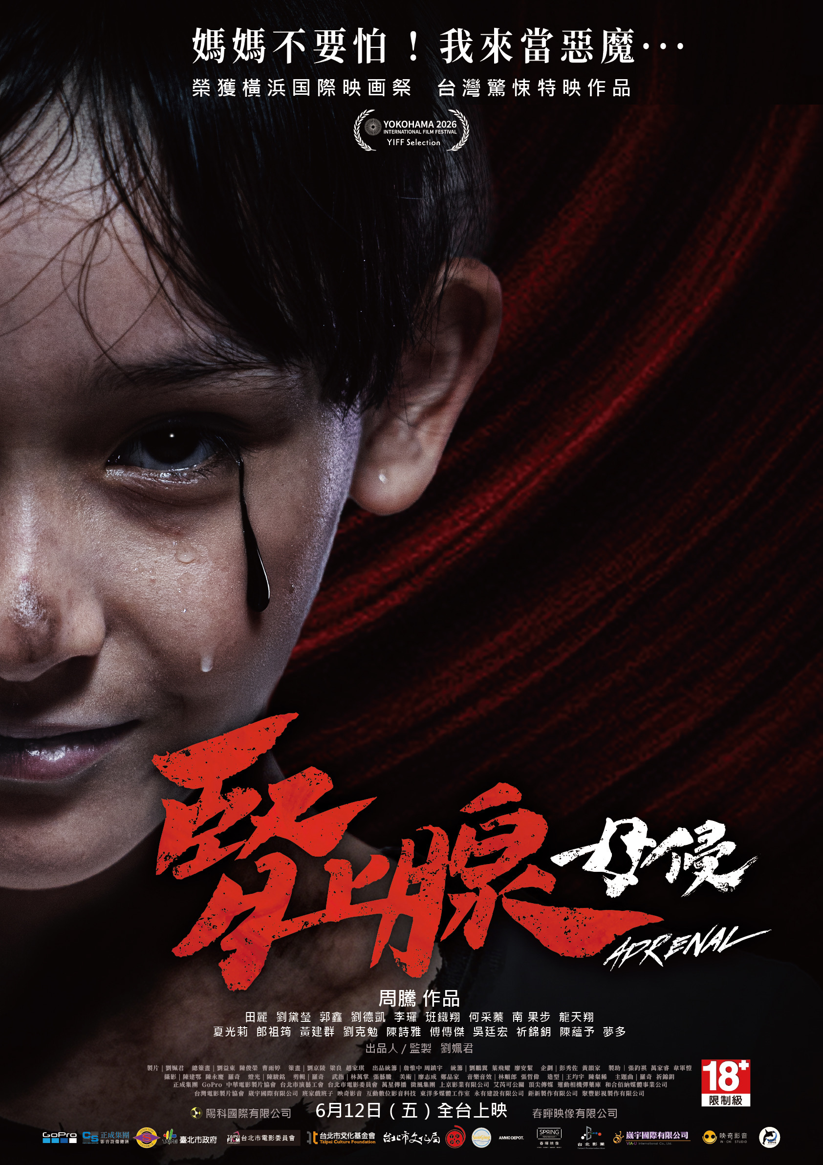 腎上腺母侵電影線上看,完整高清版2026 - 第1張圖 腎上腺母侵電影線上看,完整高清版2026